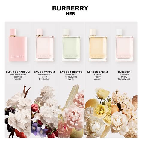 burberry perfume scent description